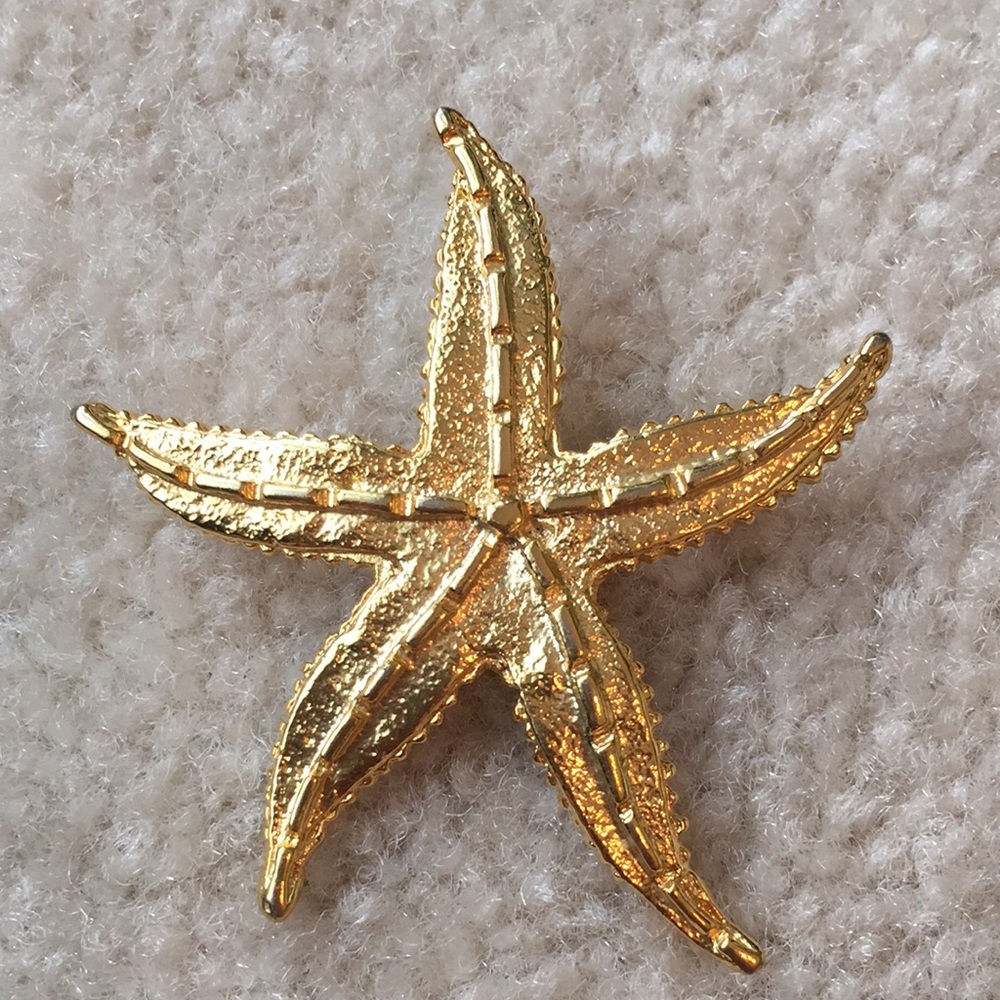 Starfish brooch